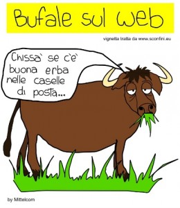bufala-canone-rai-abolito